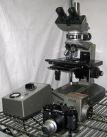 OLYMPUS BHMJL